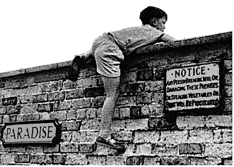 FRAW Gallery: ‘Paradise... Notice – any person breaking in or damaging these premises, or stealing vegetables or fruit, will be prosecuted’