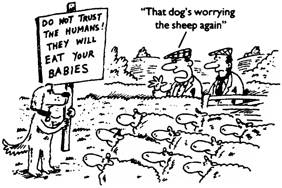 FRAW Gallery: ‘That dog's worrying the sheep again!’