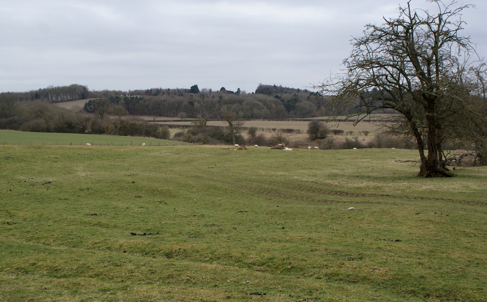 002-danesmoor_battlefield