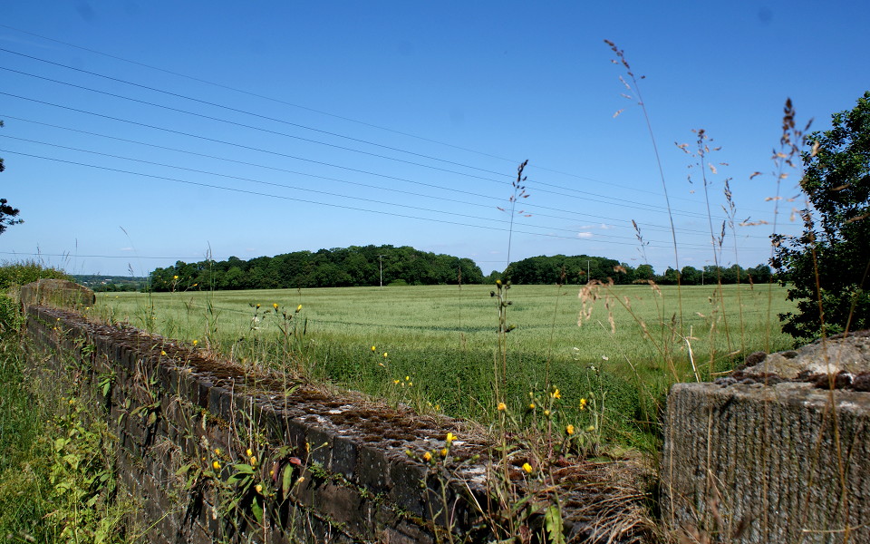 023-featherbed_lane