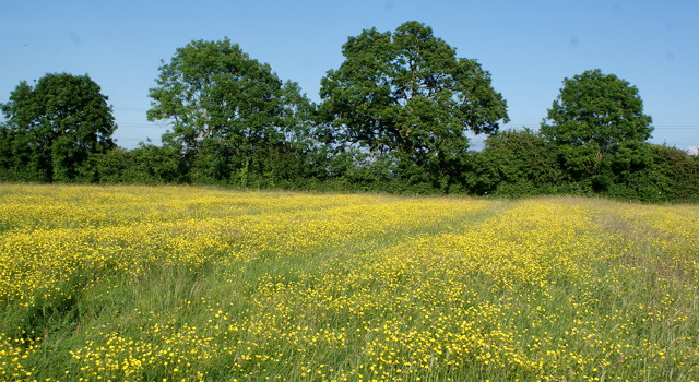 027-turweston_green-add