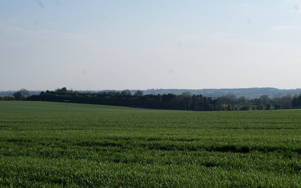 034-halse_green_lane