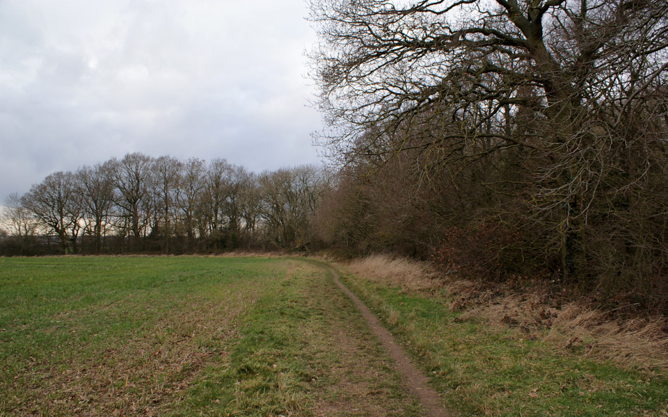 044-cubbington_south_wood